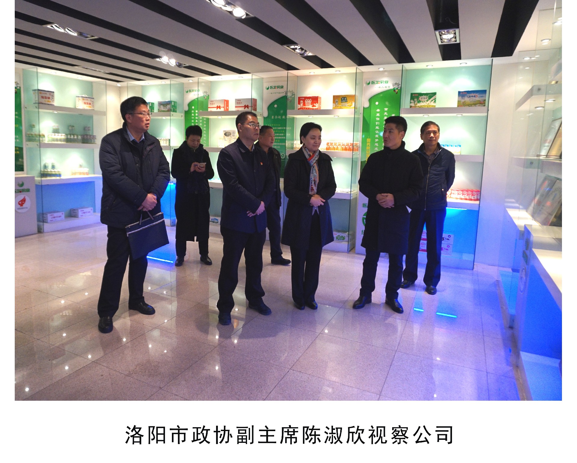 洛阳市政协副主席陈淑欣视察公司.jpg