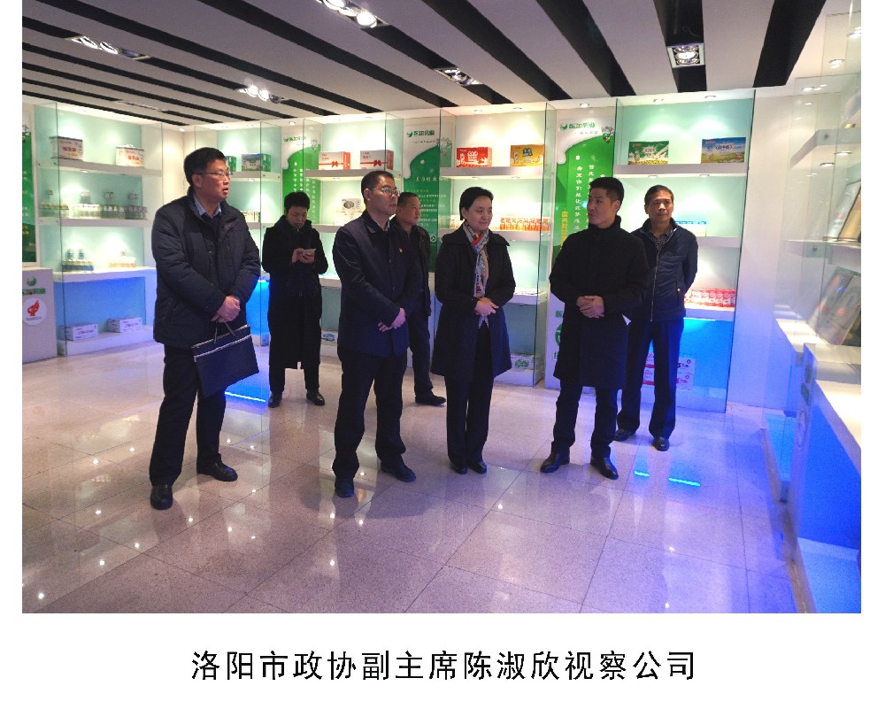 洛阳市政协副主席陈淑欣视察公司